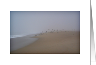 Calming Fog 3 card
