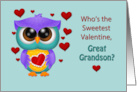 Great Grandson Hootie The Owl Valentine and Hearts with blue card