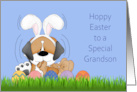 Grandson Hoppy Easter Bunny Dog and Eggs card