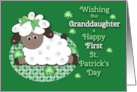 Granddaughter’s First St Patrick’s Day Sheep and Shamrocks card