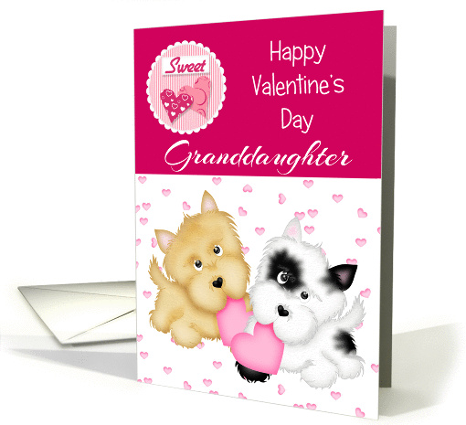 Happy Valentine's Day Granddaughter, puppies card (1352026)