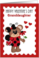 Granddaughter Happy Valentine’s Day, Bear ladybug card