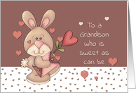 Grandson Valentine Sweet as can be Bunny card