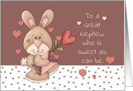 Great Nephew Valentine Sweet as can be Bunny card