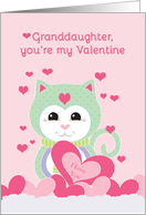 Granddaughter Valentine Heart Full of Love Kitten Hearts Pink card