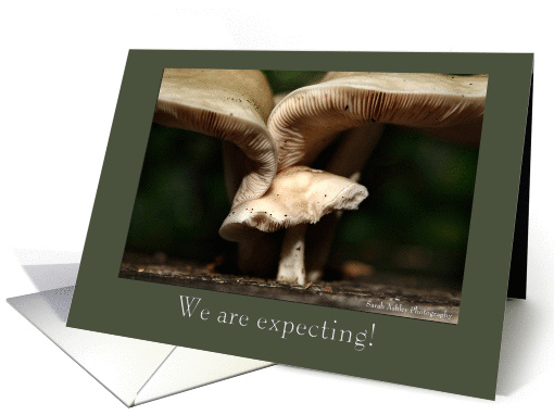 Expecting - Our first little mushroom card (1166162)