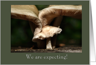 Expecting - Our first little mushroom card