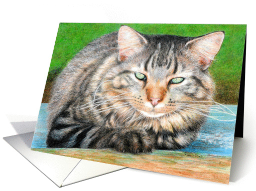Symba Blank Note card (1172482)