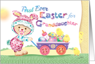 Granddaughter’s 1st Easter - Woolly Baby Bunny with Chicks and Eggs card