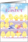 Happy Easter - 3 Rows of Cute Playful Chicks card