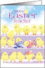 Teacher Happy Easter - 3 Rows of Cute Playful Chicks card