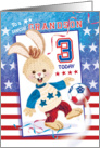 Grandson, Birthday, Age 3 - Soccer Bunny USA card