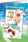 Birthday Boy, Age 2 - Soccer Bunny card