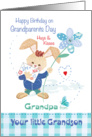 Grandpa, Grandparents Day Birthday, from Grandson - Cute Bunny card