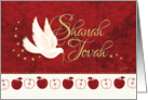 Rosh Hashanah, Shanah Tovah - Peace Dove and Apples on Red card