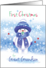 First Christmas, Great Grandson - Cute Snow Baby sucking pacifier card