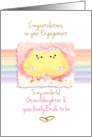 Granddaughter, Gay, Engagement - 2 Cute Chicks on Rainbow card