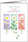 Birthday, Granddaughter, - 3 Long Stem Daisies on Color Panels card