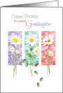 Birthday, Goddaughter, - 3 Long Stem Daisies on Color Panels card