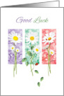 Good Luck - 3 Long Stem Daisies on Color Panels card