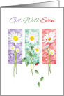 Get Well Soon - 3 Long Stem Daisies on Color Panels card