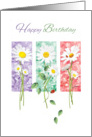 Happy Birthday, General - 3 Long Stem Daisies on Color Panels card