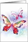 Blank - 2 Colorful Butterflies on Soft Water-color card