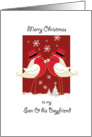 Merry Christmas, Gay, Son and his Boyfriend. 2 Robins Kissing card