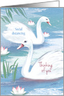 Coronavirus, Thinking of you, 2 Swans on pond card