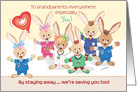 Social Distance to Grandparents, Missing You, Medical Bunnies card