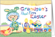 Grandson’s 1st Easter - Woolly Baby Bunny with Chicks and Eggs card