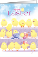 Happy Easter - 3 Rows of Cute Playful Chicks card
