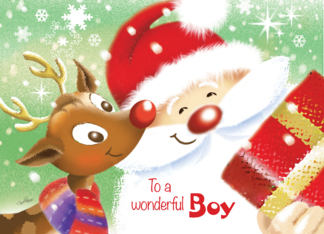 Boy, Christmas -...
