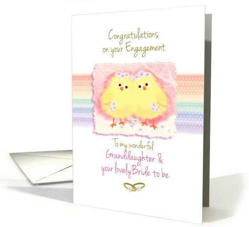 Granddaughter, Gay, Engagement - 2 Cute Chicks on Rainbow card