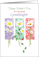 Mother’s Day, Granddaughter - 3 Long Stem Daisies card