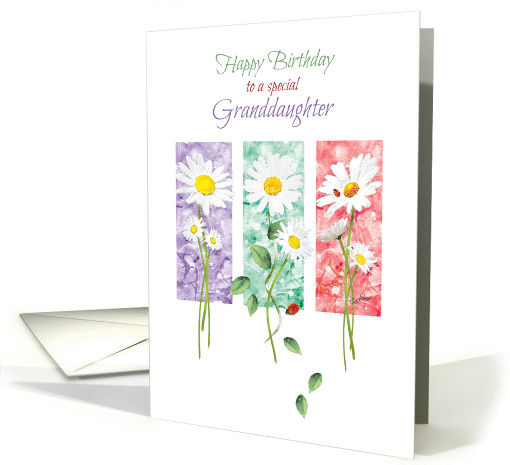 Birthday, Granddaughter, - 3 Long Stem Daisies on Color Panels card