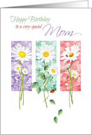Birthday, Mom, - 3 Long Stem Daisies on Color Panels card