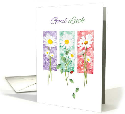 Good Luck - 3 Long Stem Daisies on Color Panels card (1375446)
