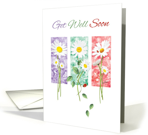 Get Well Soon - 3 Long Stem Daisies on Color Panels card (1375450)