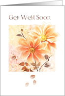 Get Well Soon - 2...