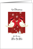 1st Christmas, Gay, For The New Mr & Mr. 2 Robins Kissing card