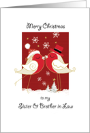 Merry Christmas, Sister & Brother in Law. 2 Robins Kissing card