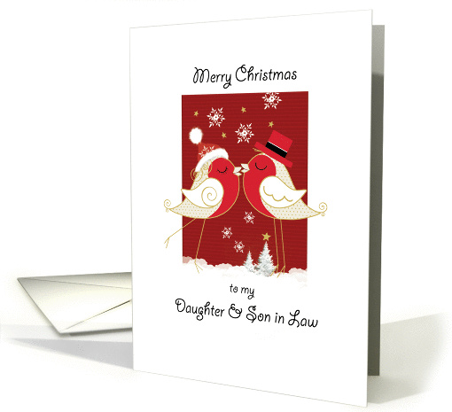 Merry Christmas, Daughter & Son in Law. 2 Robins Kissing card