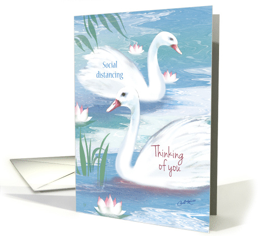 Coronavirus, Thinking of you, 2 Swans on pond card (1607720)