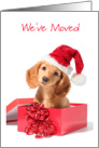 We’ve Moved Card With Christmas Dog In Box Wearing Santa Cap card