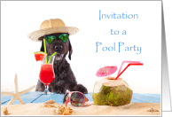 Invitation To A Pool Party/Dog with sunglasses and a drink card