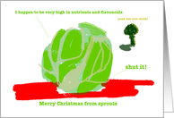 Merry Christmas From Sprouts Christmas Card