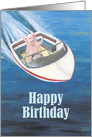 Humorous Pig Driving a Boat Birthday card