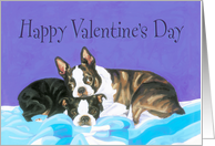 Playful Valentine’s Day - Dogs Cuddling card