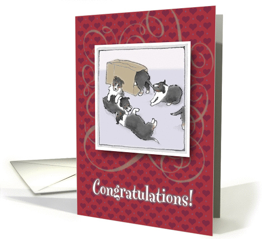 Congratulations on your new litter - puppies playing card (1214548)